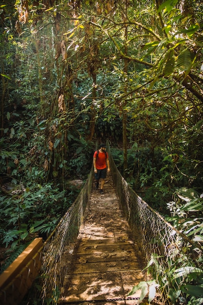 Un jeune homme marchant le long d'un beau pont en bois dans le parc national Cerro Azul Meambar (Panacam) sur le lac Yojoa. Honduras