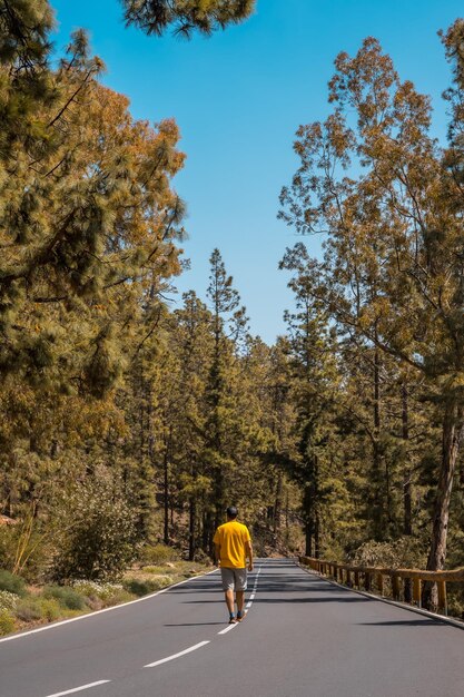 Un jeune homme marchant le long de la route forestière sur le chemin jusqu'au Parc Naturel du Teide à Tenerife Îles Canaries