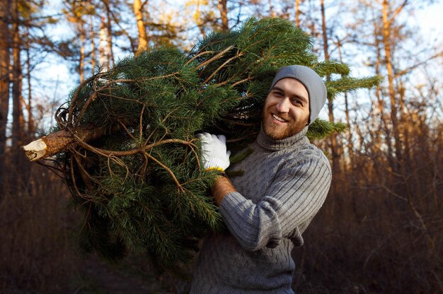 Un jeune homme porte un sapin de Noël dans le bois des hommes barbus portent un sapin de Noël à la maison.