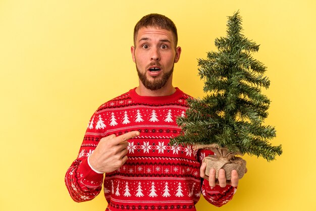 Jeune homme de race blanche achetant un petit arbre pour Noël isolé sur fond jaune pointant vers le côté