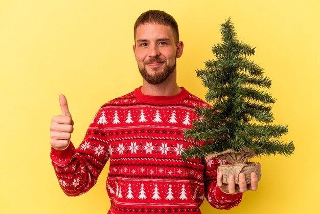 Jeune homme de race blanche achetant un petit arbre pour Noël isolé sur fond jaune souriant et levant le pouce vers le haut