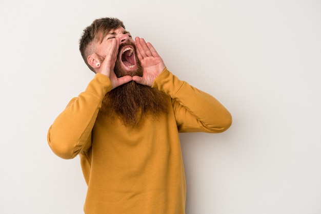 Jeune homme de race blanche au gingembre avec une longue barbe isolé sur fond blanc criant excité à l'avant.