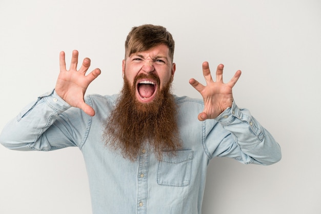 Jeune Homme De Race Blanche Au Gingembre Avec Une Longue Barbe Isolé Sur Fond Blanc Montrant Des Griffes Imitant Un Chat, Geste Agressif.