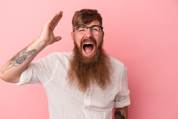 Jeune homme de race blanche au gingembre avec une longue barbe isolé sur fond rose criant de rage.