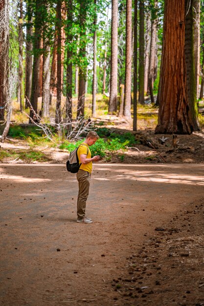 Un jeune homme avec un sac à dos se promène dans le pittoresque parc national de Sequoia USA