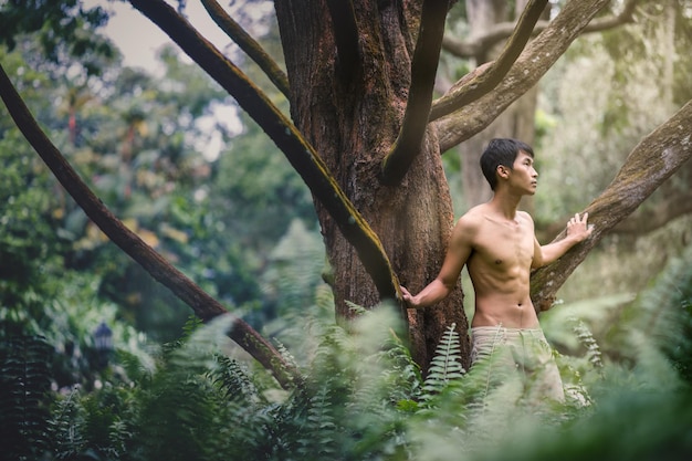 Un jeune homme sans chemise debout près d'un tronc d'arbre dans la forêt