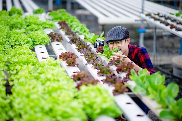 Le jeune homme et son jardin de salade