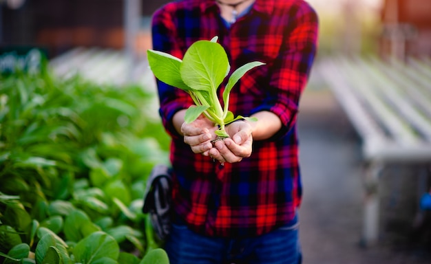 Le jeune homme et son potager Et son sourire heureux