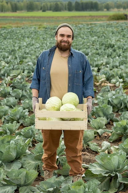 Jeune homme souriant en tenue de travail avec boîte de récolte de chou