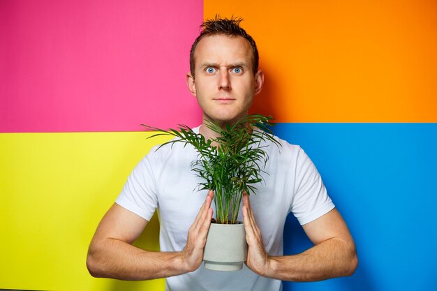 Jeune homme en T-shirt blanc, arrière-plan coloré, palmier décoratif, photo d'émotions, plante à la maison, amour de la nature