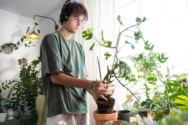 Un jeune homme tenant des germes de mini monstera Rhaphidophora tetrasperma s'occupant de plantes en pot à l'intérieur