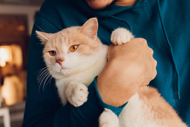 Jeune homme tenant un gros plan de chat blanc.