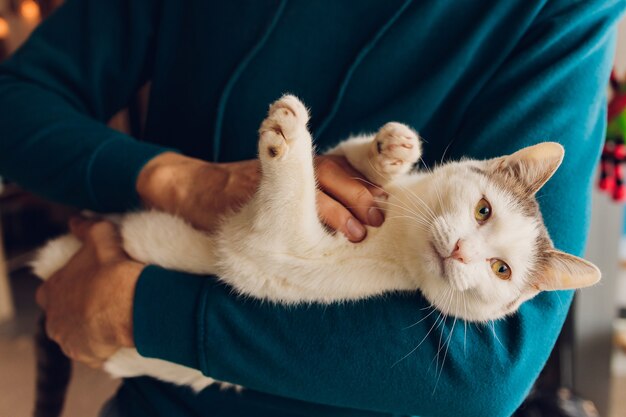 Jeune homme tenant un gros plan de chat blanc.