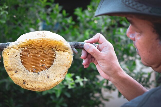 Le jeune homme tient un nid d'abeille doré à la main