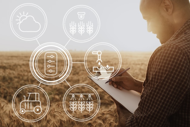 Jeune homme utilisant une tablette dans un champ de blé en gros plan, concept agricole