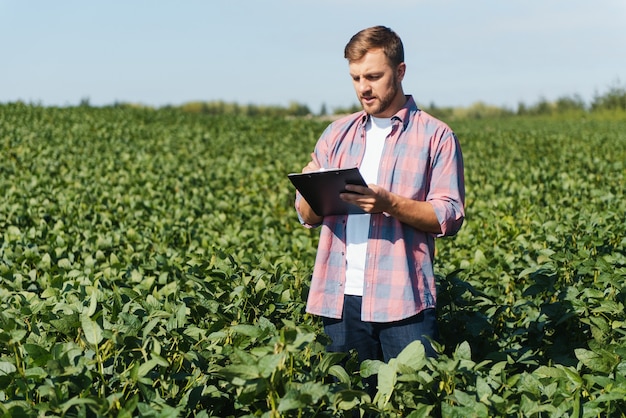 Jeune ingénieur agricole beau sur le champ de soja avec tablette dans les mains au début de l'été