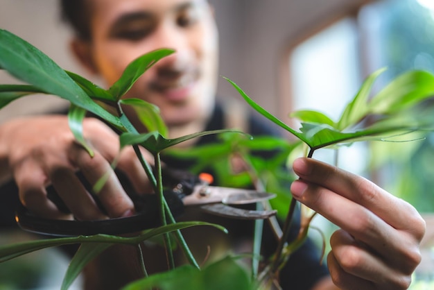 Jeune jardinage d'une plante en passe-temps à la maison nature fleuriste personne style de vie dans un concept vert