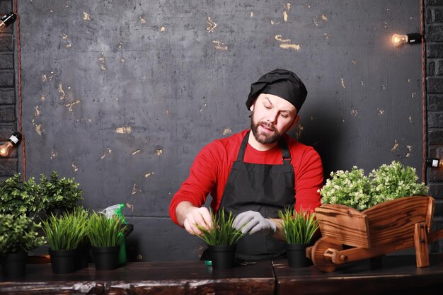 Un jeune jardinier s'occupe des semis et coupe des fleurs.Jardinier avec un bac à fleurs. Homme qui s'occupe de planter des semis au printemps.