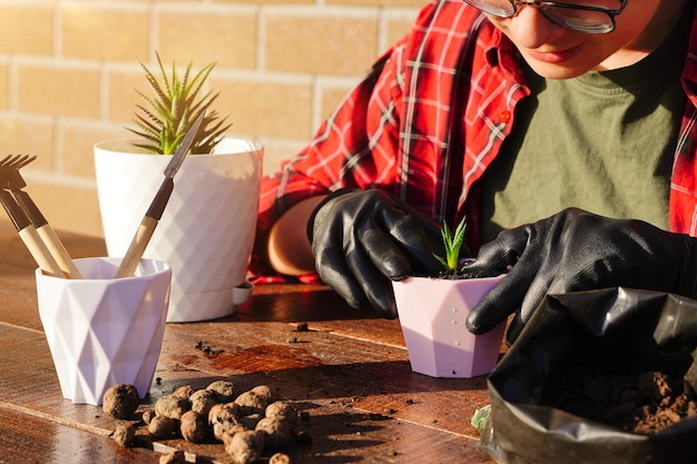 Le jeune jardinier transplante des fleurs dans un nouveau pot Outil de plantation de sol et de drainage Hobby is home gardening