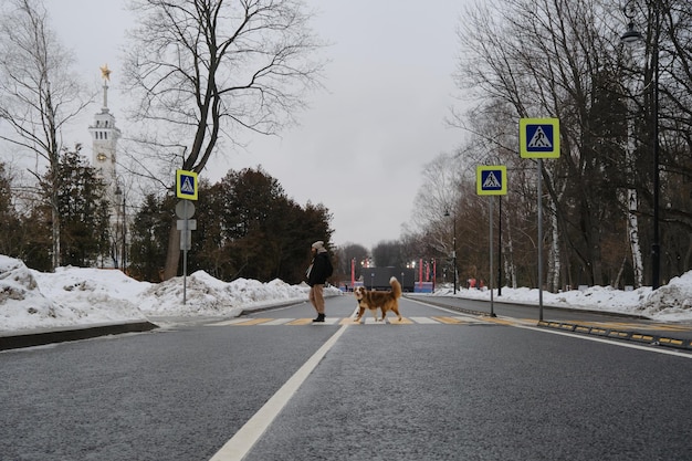 Jeune jolie femme brune traverse la route à un passage pour piétons avec son chien dans le parc de la ville