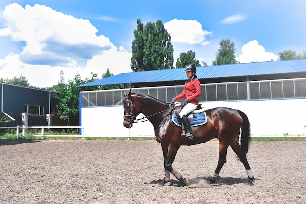 Jeune jolie fille jockey prépare le cheval pour la balade. aime les chevaux. fille sur un cheval