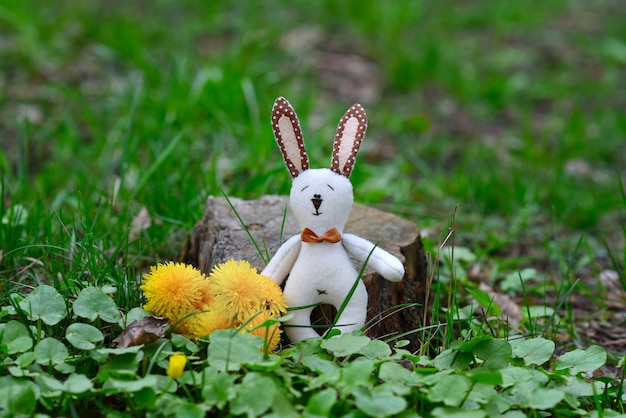 Jeune lièvre un jouet avec ses propres mains est un daryl un bouquet en vacances