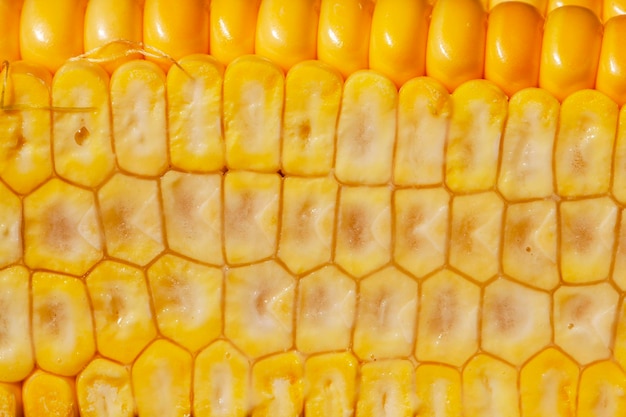 Jeune maïs non mûr avec des graines jaunes coupées en morceaux