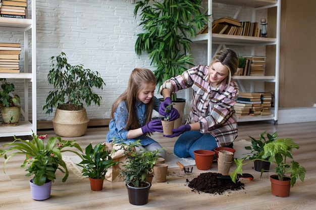 Une jeune mère et sa fille s'occupent des fleurs Soin des plantes d'intérieur