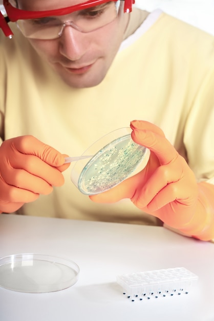 Une jeune microbiologiste travaille avec des cultures bactériennes en laboratoire