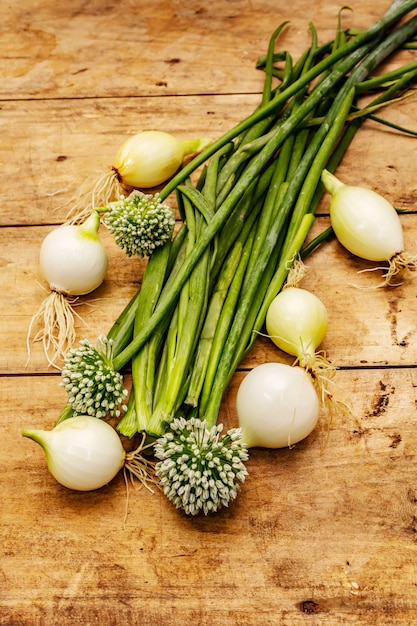 Photo jeune oignon frais et ses verts. ingrédient traditionnel pour cuisiner