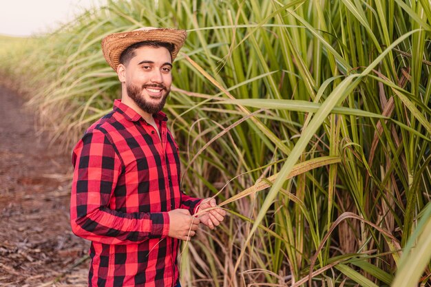 Jeune ouvrier agricole déplaçant l'entrepreneuriat rural de l'usine avec une plantation de canne à sucre en arrière-plan