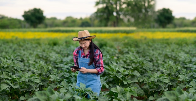 jeune paysanne asiatique vérifiant la qualité de la plante dans le vert. agriculture hydrophonique moderne