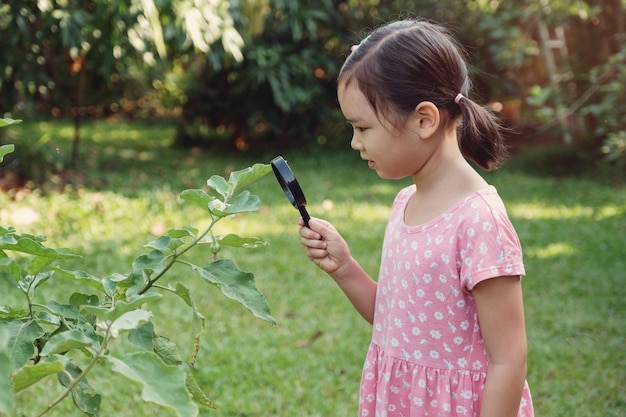 Jeune petite fille asiatique regardant les feuilles à travers une loupe