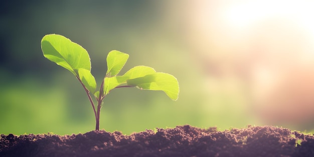 Jeune plante poussant au soleil printanier mise au point sélective générée par ai