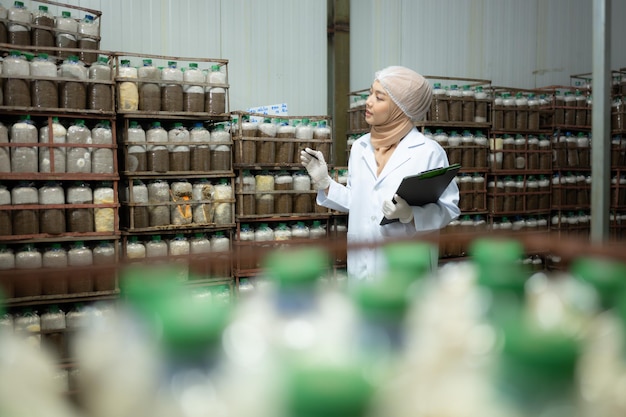 Photo une jeune scientifique musulmane asiatique effectuant des recherches dans une usine de champignons examinant des champignons