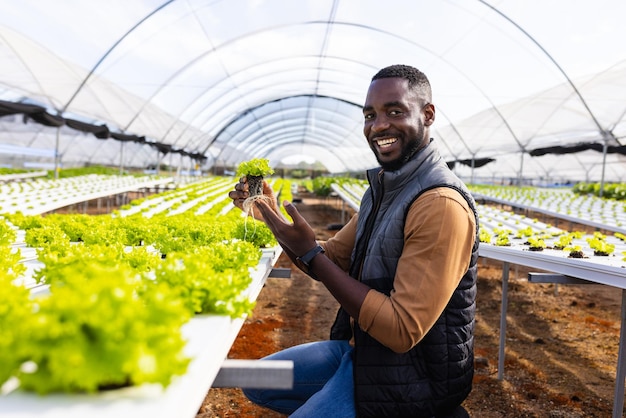 Jeune superviseur de ferme afro-américain tenant une plante souriante dans une ferme hydroponique en serre