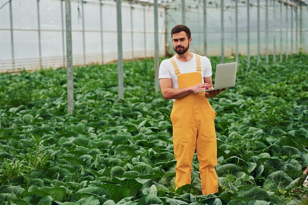 Jeune travailleur de serre en uniforme jaune avec un ordinateur portable dans les mains a un travail à l'intérieur de la serre