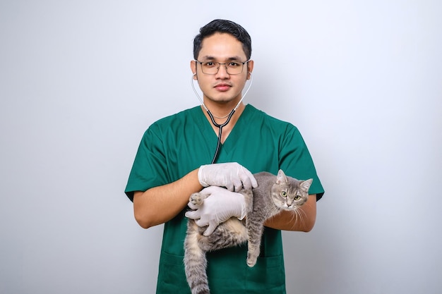 Jeune vétérinaire asiatique portant des gommages et des lunettes examinent le fond isolé du chat de compagnie