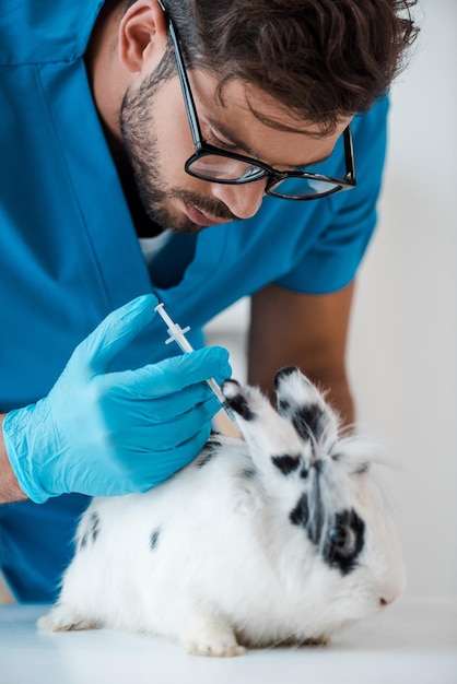 Jeune vétérinaire faisant la vaccination du lapin tacheté mignon