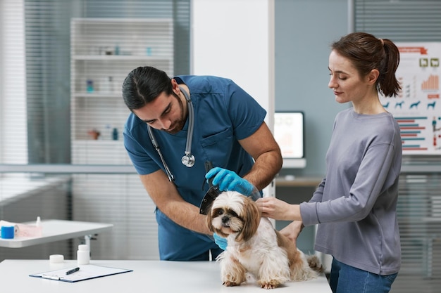 Jeune vétérinaire mettant un collier de protection sur le cou d'un patient moelleux