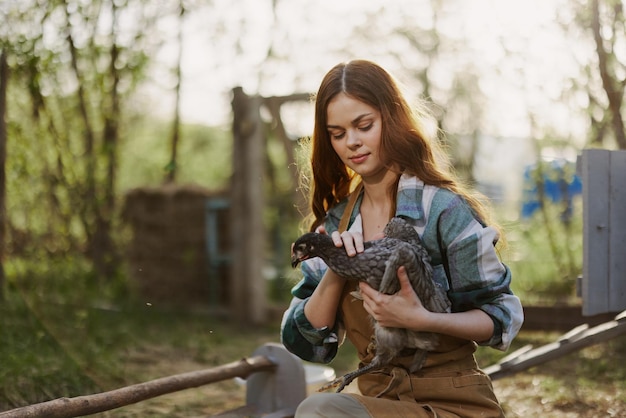 La jeune zoologiste féminine examine le poulet pour les maladies à la ferme