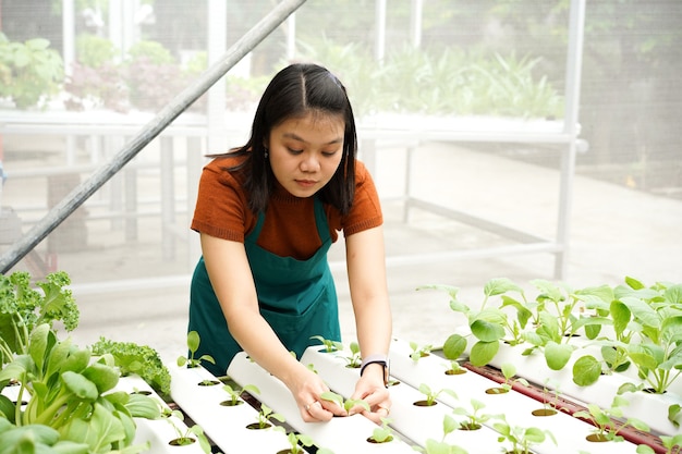 Les jeunes agricultrices asiatiques prennent soin des légumes hydroponiques