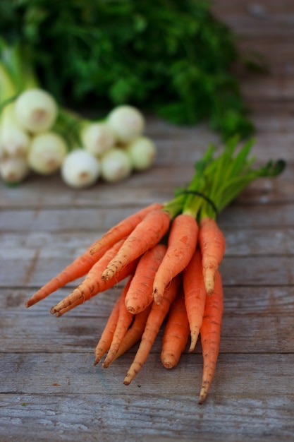 Jeunes carottes fraîches et herbes vertes sur fond de bois ancien