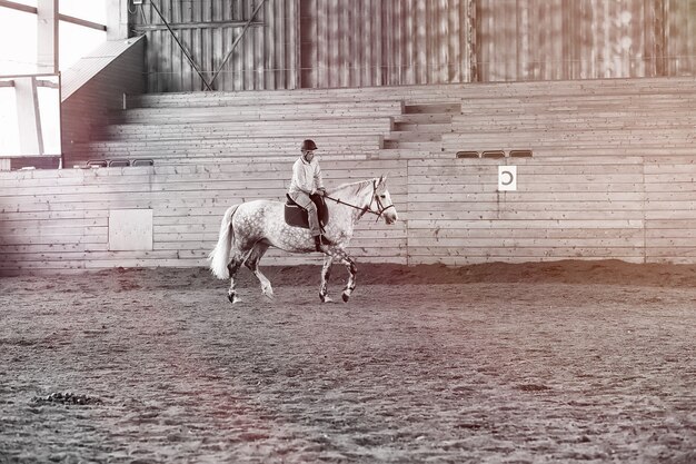 Jeunes sur un cheval s'entraînant dans une arène en bois