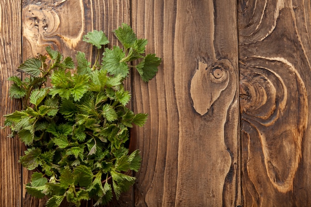 Jeunes feuilles d'ortie en pot sur fond rustique, orties, urtica