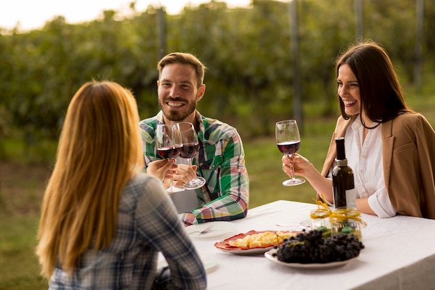 Jeunes gens à la table dans le vignoble