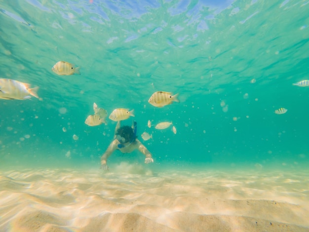 Jeunes hommes faisant de la plongée en apnée explorant l'arrière-plan du paysage de récifs coralliens sous-marins dans l'océan d'un bleu profond avec des poissons colorés et la vie marine