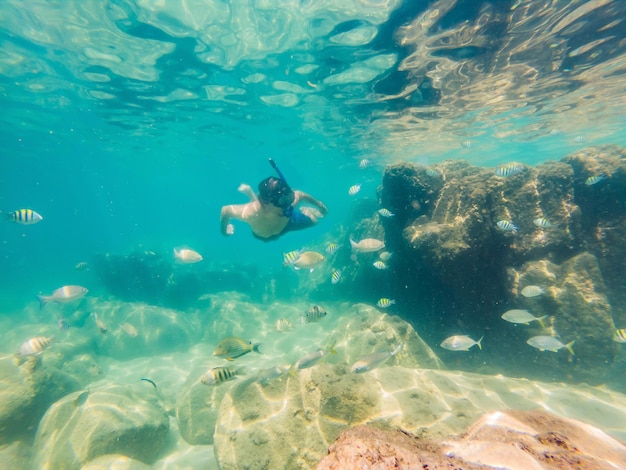 Jeunes hommes faisant de la plongée en apnée explorant l'arrière-plan du paysage de récifs coralliens sous-marins dans l'océan d'un bleu profond avec des poissons colorés et la vie marine