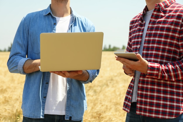 Photo jeunes hommes avec ordinateur portable et tablette dans le champ d'orge