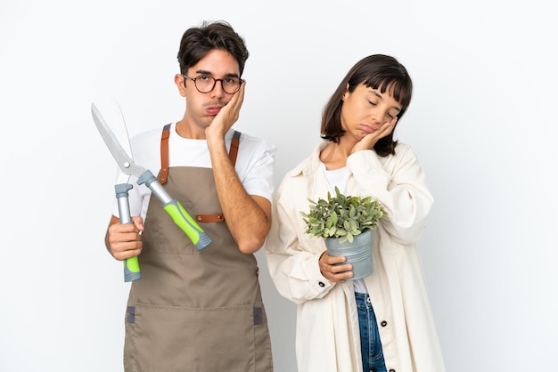 Jeunes jardiniers métis tenant une plante et un sécateur isolés sur fond blanc avec une expression faciale surprise et choquée